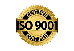 Alfa-Omega Experience